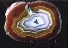 Coyamito Agate