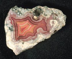 Gregoria Agate