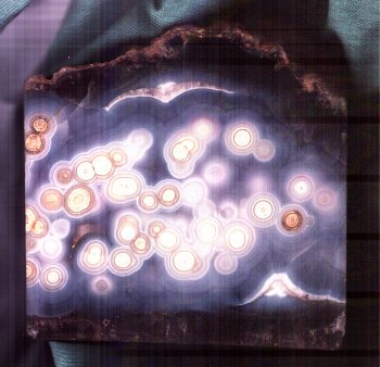 Luna Agate