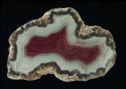 Mezquite Agate