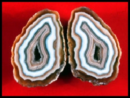 Moctezuma Agate