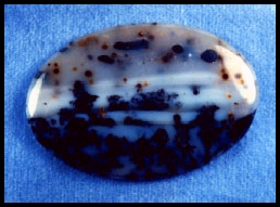Parral Dendritic Agate