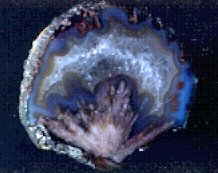 Sagenitic Coconut Geode