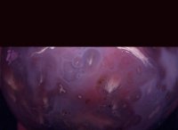 Mozambique Agate - Close-Up View