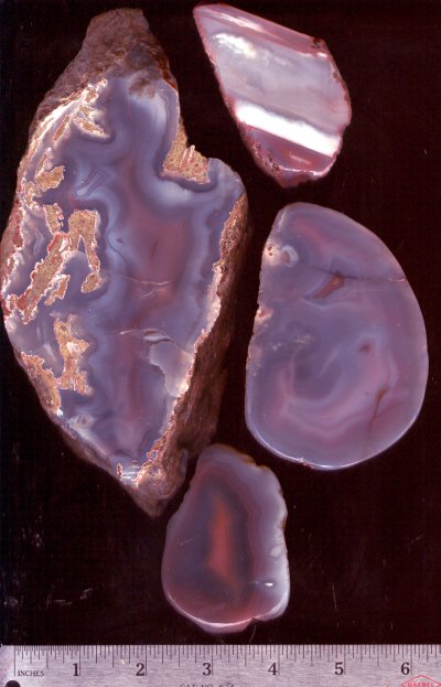 Mozambique Agate