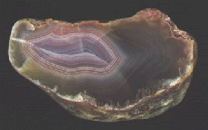 Wagler Agate