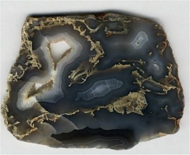 Sagenitic Agate