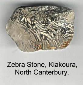 Zebra Stone