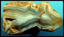 Canal Zone Agate