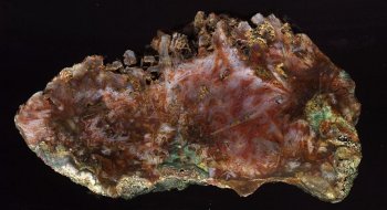Sagenitic Agate