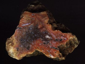 Sagenitic Agate