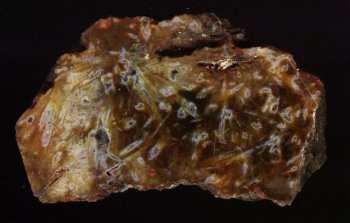 Sagenitic Agate