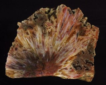 Sagenitic Agate