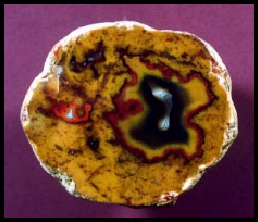 Paint Rock Agate