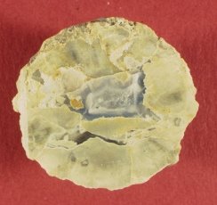 Berkeley Thunder Egg
