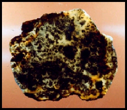 Nipomo Marcasite Agate