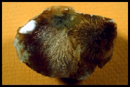 Nipomo Sagenitic Agate