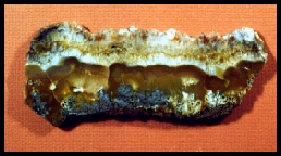 Nipomo Sagenitic Agate