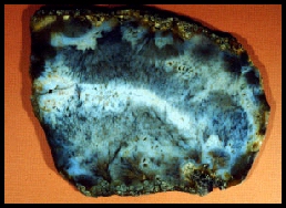 Nipomo Sagenitic Agate