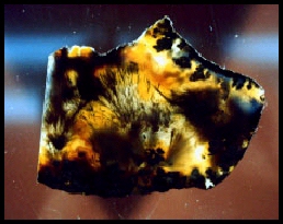 Nipomo Sagenitic Agate