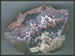 Paisley Lace Agate