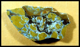 Stone Canyon Jasper