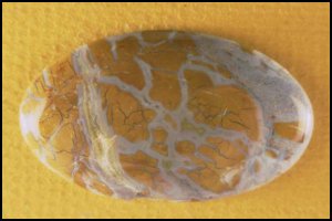 Stone Canyon Jasper