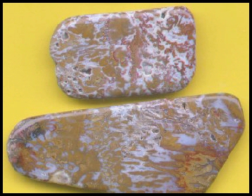 Wingate Pass Plume Agate