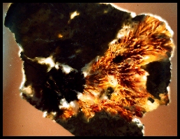 Del Norte Plume Agate