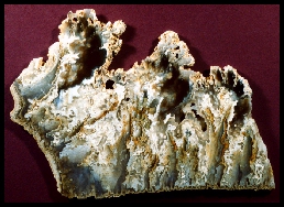 Graveyard Point Plume Agate
