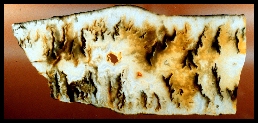 Graveyard Point Plume Agate