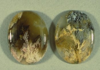 Graveyard Point Plume Agate