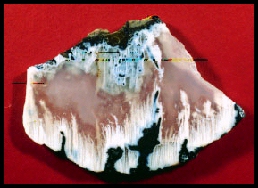 Muldoon Agate