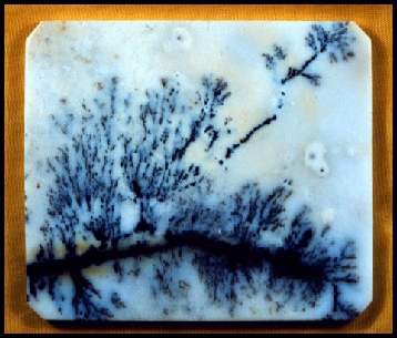 Sagenitic Agate