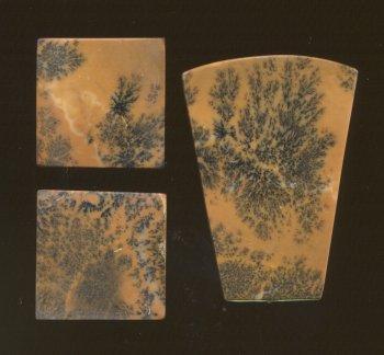 Kansas Moss Agate