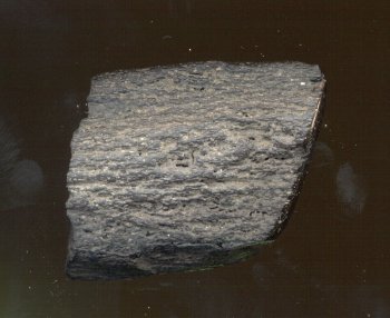 Agatized Whale Bone