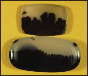 Montana Moss Agate