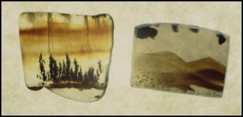 Montana Moss Agate