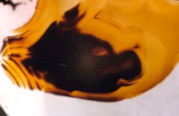 Montana Agate