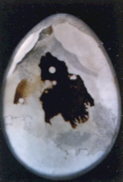 Montana Agate