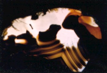 Montana Agate