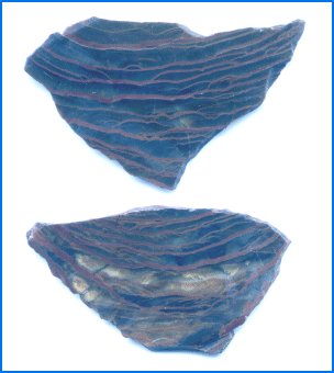 Ramshorn Mountain Jasper