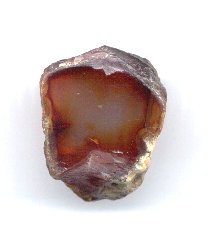 Stirling Brook Carnelian