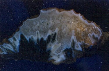 Sagenitic Agate
