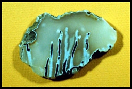 Big Muddy Ranch Agate