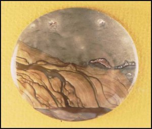 Biggs Jasper