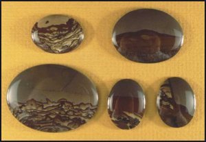 Biggs Jasper