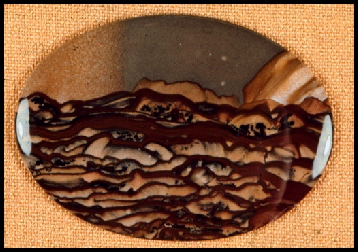 Biggs Jasper