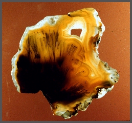 Brownsville Sagenitic Agate