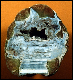 Thunder Egg